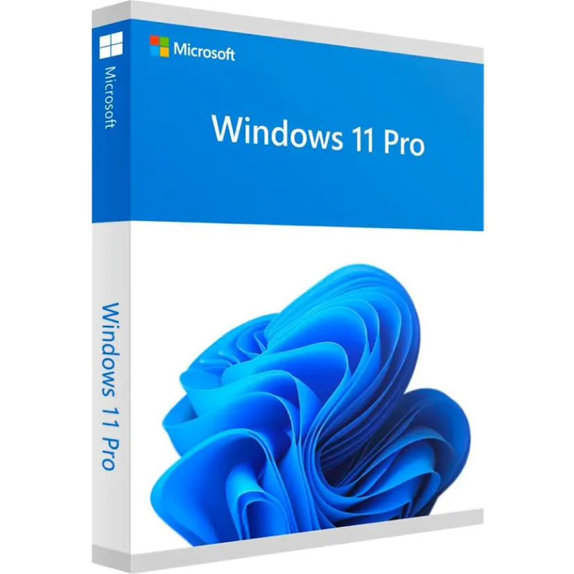 Windows 11 Pro FPP